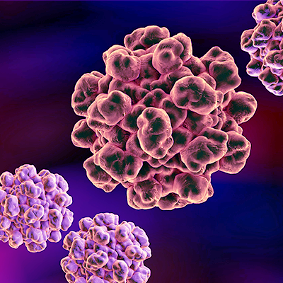 Virus dell'Epatite E (HEV)
