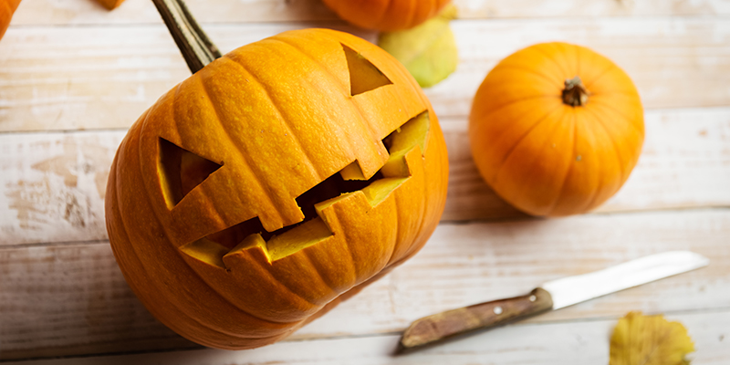 Occhio alla zucca! Zucche ornamentali e zucche edibili, attenzione alla differenza