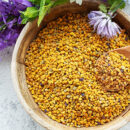 Prodotti dell'alveare, un'arnia piena di tesori: il polline